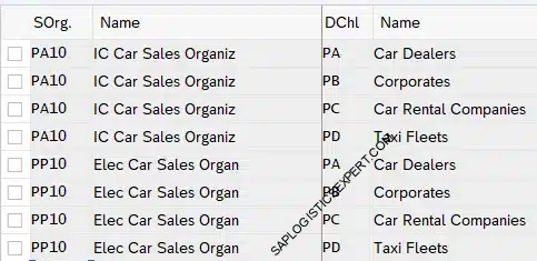 Picture - Assign Distribution Channel to Sales Organization