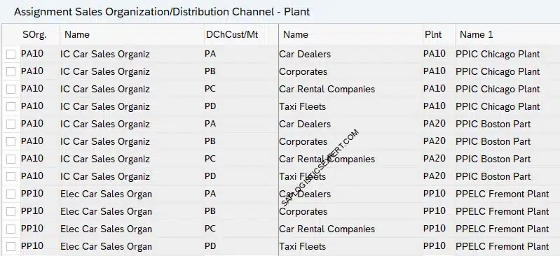 Picture - Assignment of Sales Organization Distribution Channel to Plant