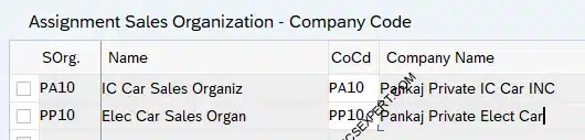 Picture - Assignment of Sales Organization to Company Code