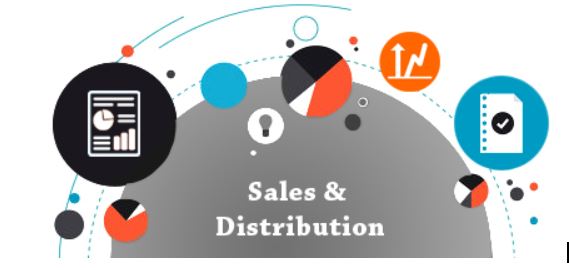 Configure SAP Sales & Distribution Organization Structure in 5 Minutes